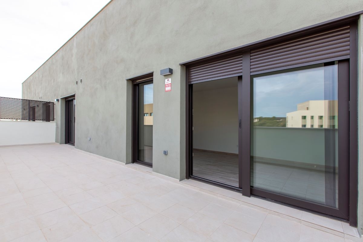 Proyecto ARAM VILANOVA imagen 11