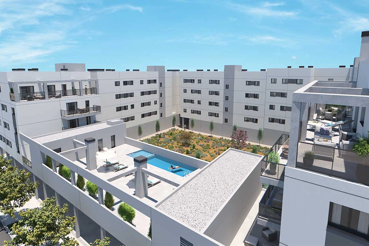 Proyecto AMUNA PALMA imagen 2