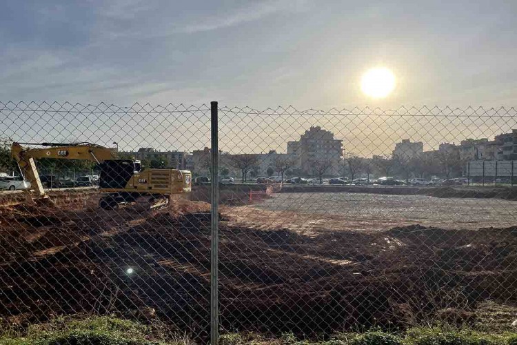 Avance enero 2024